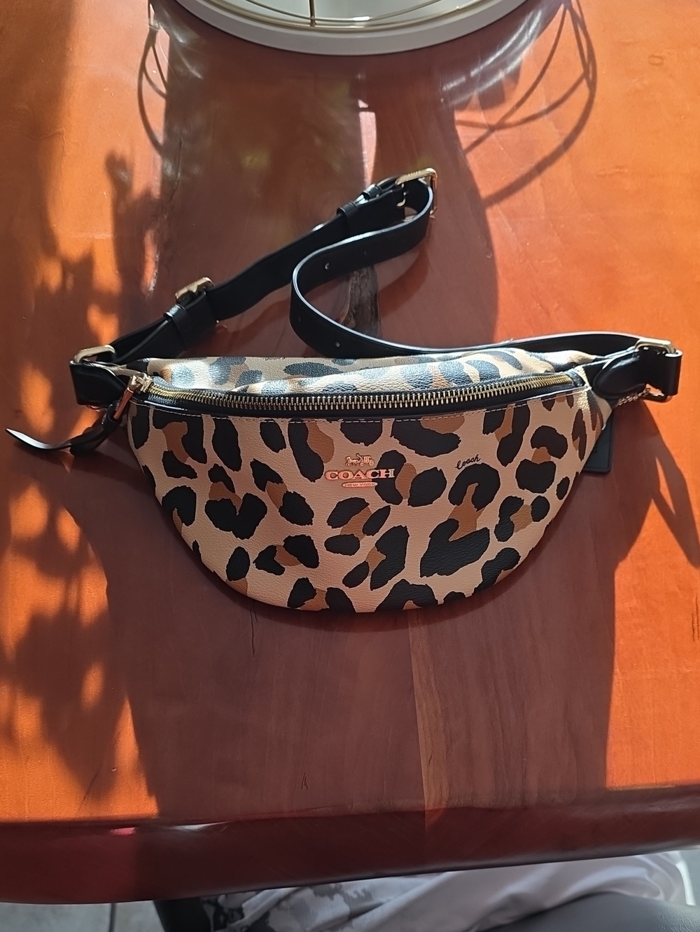Coach Leopard Print Crossbody Belt Bag